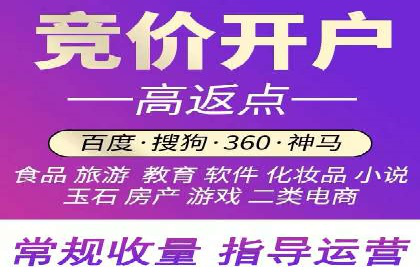某某sem推广公司实战案例：精准投放提升转化率